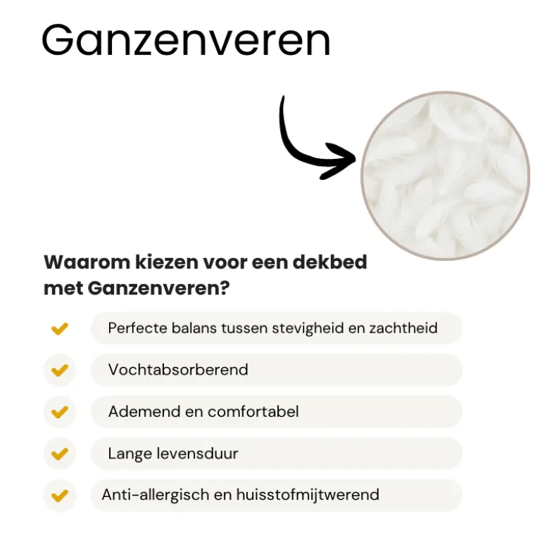 Dekbed Dons - 80% Ganzenveren - 4 Seizoenen