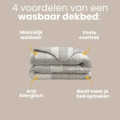 Lazy Dekbed Zonder Overtrek - Energetic